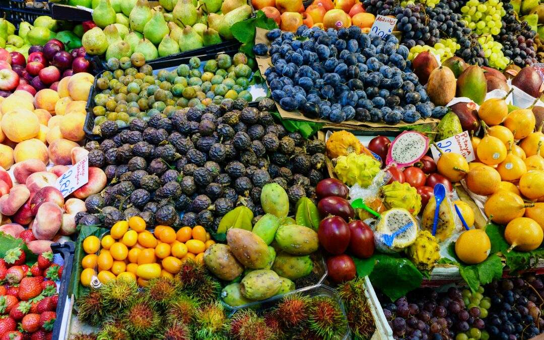 Estudo da Unicamp comprova propriedades funcionais de frutas do Cerrado