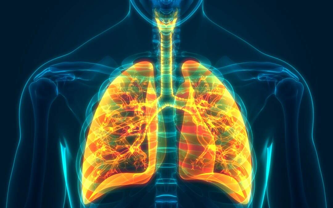 Composto sintético se mostra eficaz contra o câncer de pulmão em testes pré-clínicos